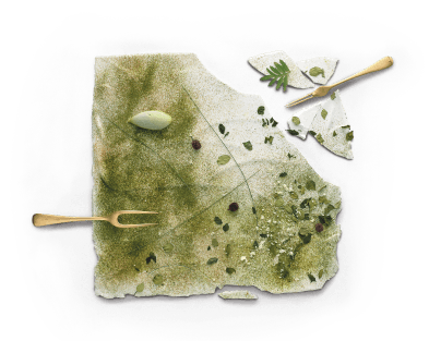 A dish of a square white substance cracking, dusted with green and garnished with small vibrant leaves