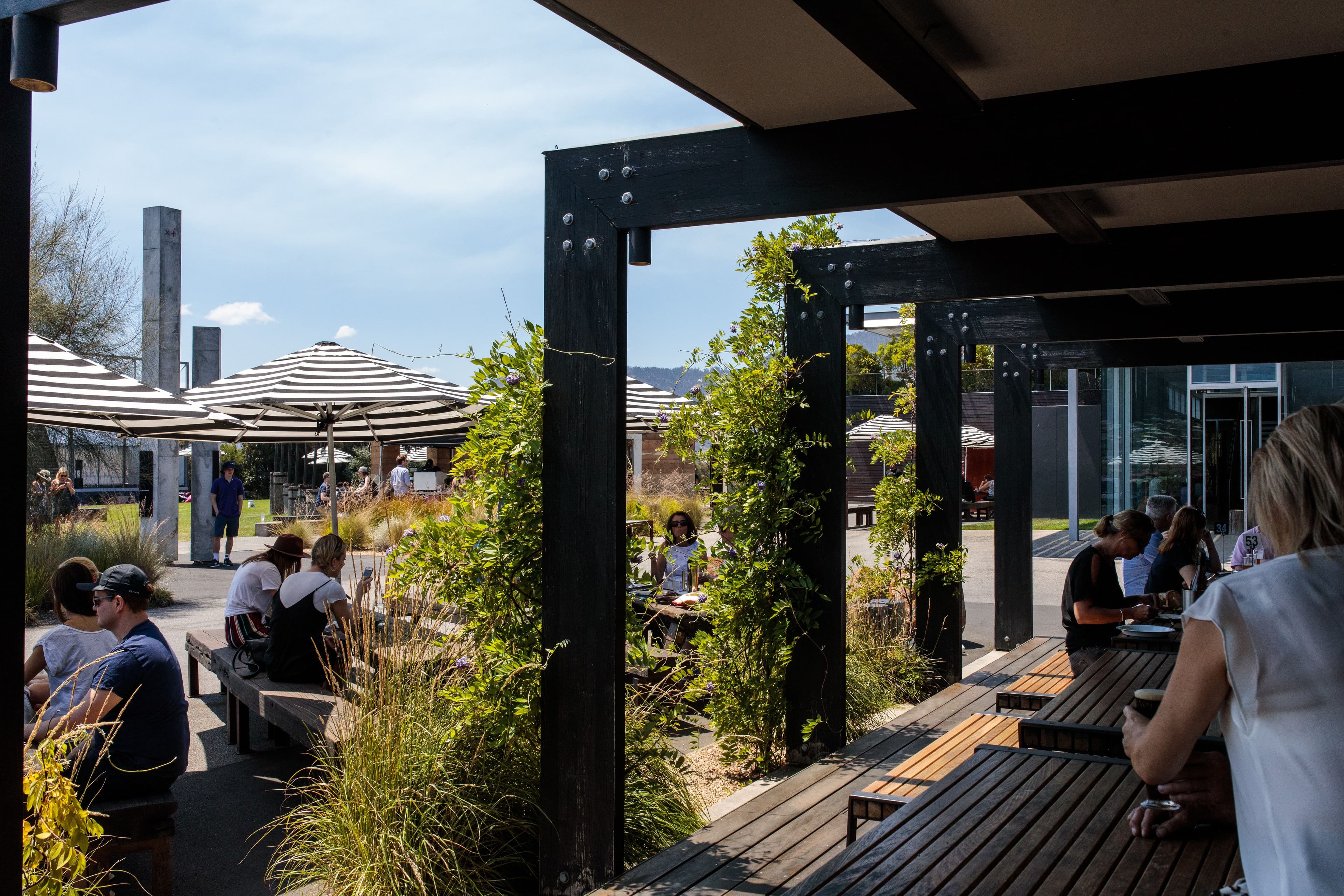 People dining outside the Wine Bar under umbrellas with vines growing up the deck structure